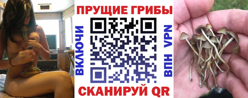 Галлюциногенные грибы ЛСД  купить закладку  Сковородино 